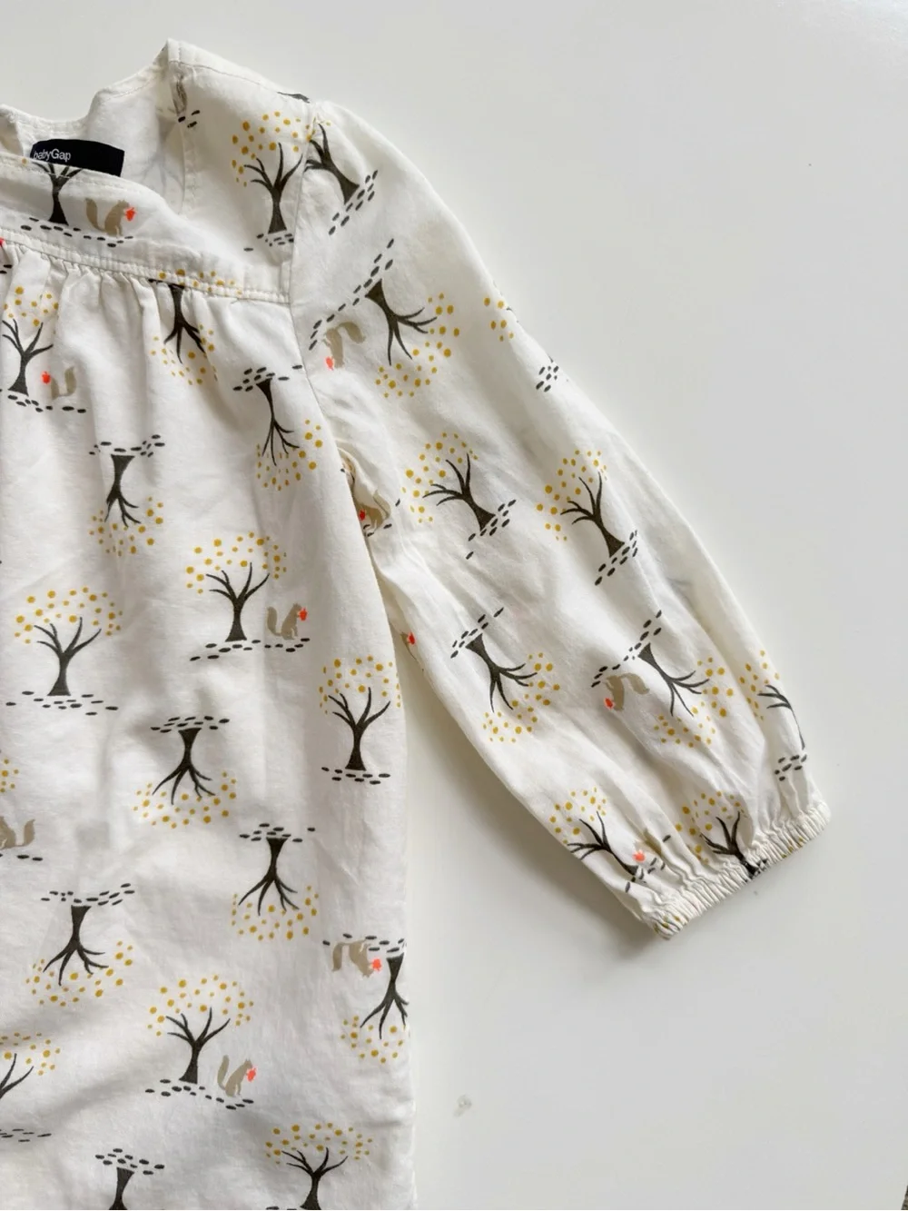 Gap Squirrel Dress Size 18-24M